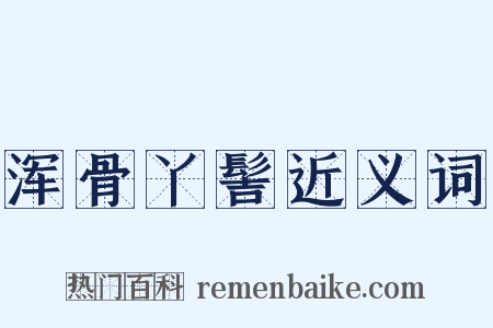 浑骨丫髻近义词是什么意思的图片